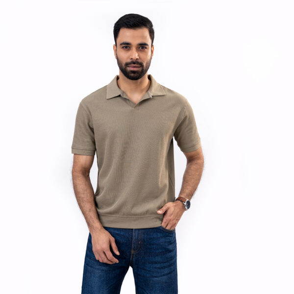Richman Olive Color Solid Polo Shirt